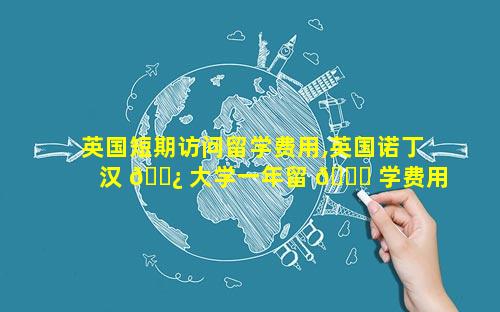 英国短期访问留学费用,英国诺丁汉 🌿 大学一年留 🐟 学费用